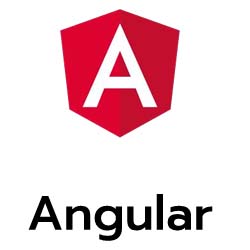 Technology Angular